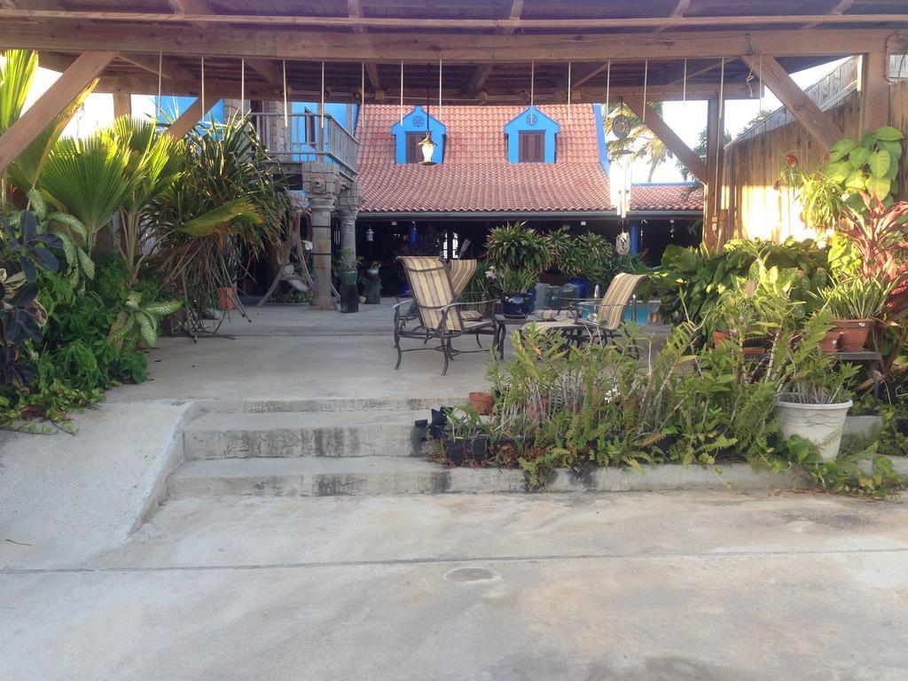 De Cuba Bed & Breakfast Noord Luaran gambar